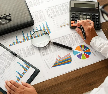 immagine bilancio economico