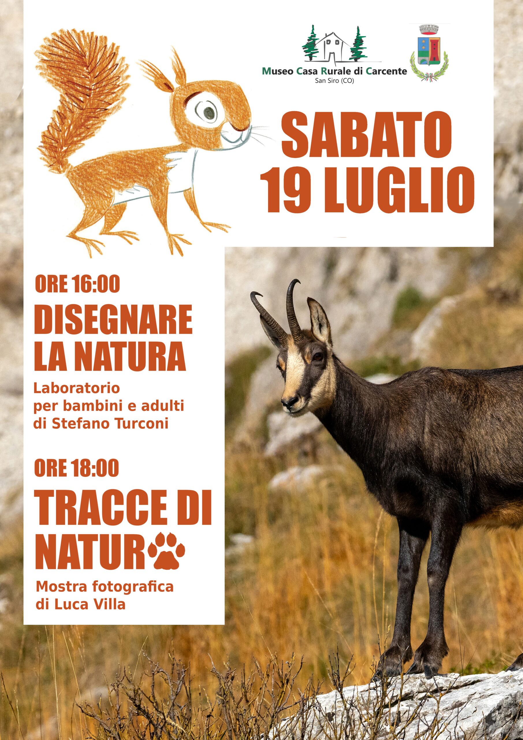 Immagine anteprima
