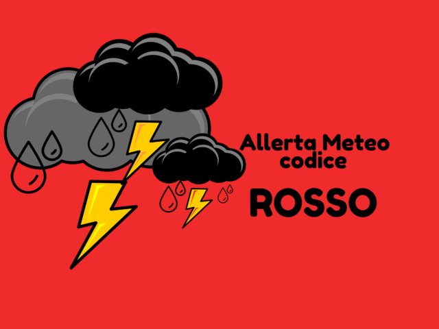 Immagine anteprima